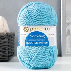 Пряжа "Перспективная" 50% мериносовая шерсть, 50% акрил объёмный 270м/100гр (223-Св.бирюза Пехорка