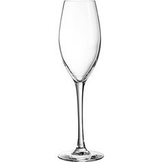Бокал-флюте CDA Вайн Эмоушнс 240мл, высота 23.5см, хрустальное стекло, прозрачный No Brand