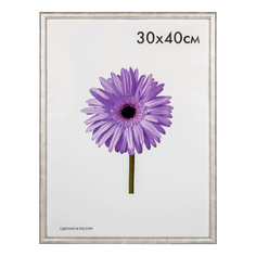 Фоторамка универсальная Minni светлое дерево 30x40 см No Brand