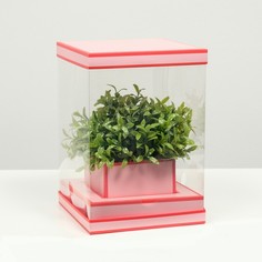 Коробка для цветов с вазой и PVC окнами складная, насыщенно-розовый, 16 х 23 х 16 см No Brand