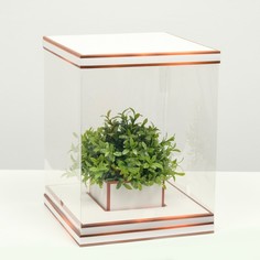 Коробка для цветов с вазой и PVC окнами складная, бронза, 23 х 30 х 23 см No Brand