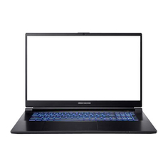 Ноутбук Dream Machines RG3050-17EU36 Black (RG3050-17EU36)