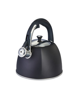 Чайник со свистком нержавеющая сталь Regent Inox 3л 93-TEA-31