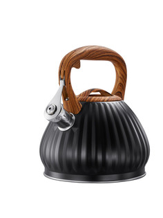 Чайник со свистком нержавеющая сталь Regent Inox 3л 93-TEA-37