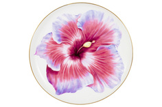 Тарелка Гибискус, 19 см KSAL-AL-3004H-E11 Anna Lafarg