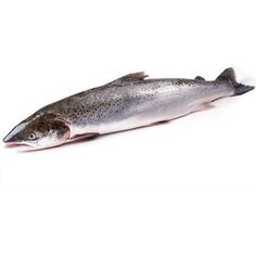 Лосось Атлантический с головой, кг Noname