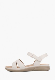 Сандалии T.Taccardi