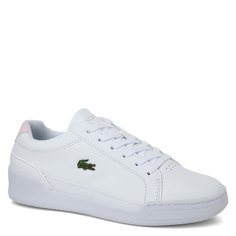 Кроссовки и кеды Lacoste