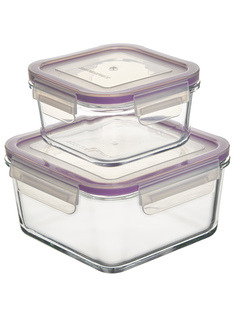 Набор стеклянных пищевых контейнеров Eley 450 мл и 1030 мл, ELSTH009P