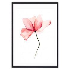 Постер в рамке Розовый цветок - 40х60 см Дом Корлеоне