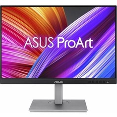 Монитор Asus 24.1 ProArt PA248CNV черный IPS LED 16:10 HDMI M/M матовая HAS Piv 300cd 178гр/178гр 1920x1200 DP WU USB (90LM05K1-B03370)