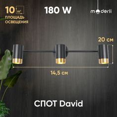 Спот Moderli David V5031-3C