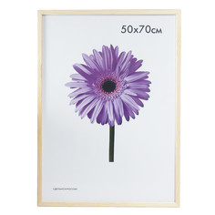 Фоторамка дерево Sasha 50х70 см неокрашенная (пластиковый экран) 7797179 Sima Land