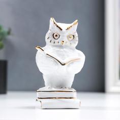 Сувенир керамика "Филин с книгой, на книгах" белый с золотом 12 см No Brand