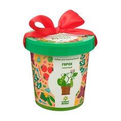 Happy plant Горшок Горох сахарный набор для выращивания
