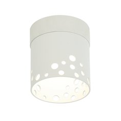 Светильник IMEX GX53 1*12W потолочный спот Белый IL.0005.4400 WH