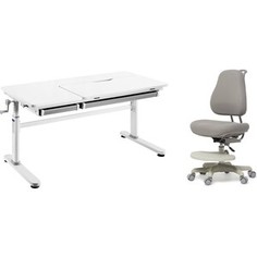 FunDesk Комплект парта Iris grey + кресло Paeonia grey