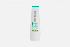 ШАМПУНЬ ПРОТИВ ПЕРХОТИ Biolage