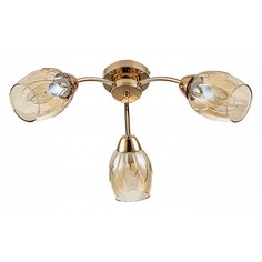Светильник Escada Allium 663/3P