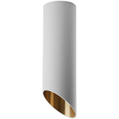 Feron Светильник накладной Feron Barrel tilt "ML182" GU10. Белый+золото
