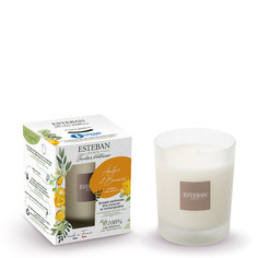Ароматическая свеча Esteban АМБРА и БАЛЬЗАМЫ Amber & Balms 180 г