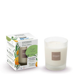 Ароматическая свеча Esteban АПЕЛЬСИН и ЗЕЛЕНЫЙ ЧАЙ Orange & Green Tea 180 г