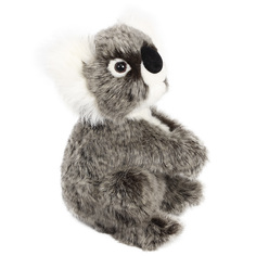 Реалистичная мягкая игрушка Hansa Creation Коала австралийская, 21 см