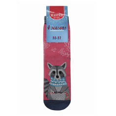 Носки женские Master Socks разноцветные 29