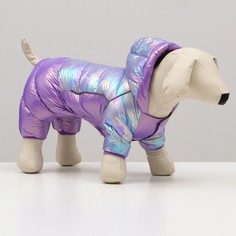 Комбинезон для собак Эфир, размер 8, фиолетовый No Brand