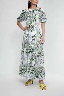 Платье женское Belucci BL23045268CD разноцветное M