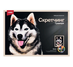 Гравюра большая цветная Скретчинг. Хаски КОЛОРИТ