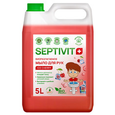 Жидкое мыло для рук Septivit Premium Зимняя вишня Ice Cherry 5 л
