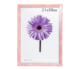 Фоторамка пластик Viola 21х30 см розовая No Brand