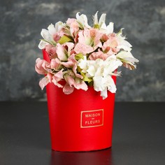 Переноска для цветов 22 х 17,5 х 10 см No Brand