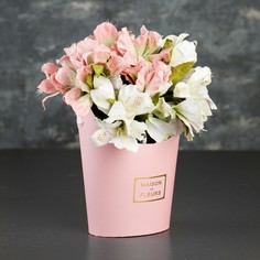 Переноска для цветов 19 х 16 х 8,5 см No Brand