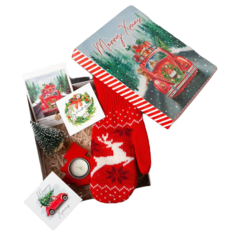 Подарочный набор Новый год: Merry Xmas? варежки р-р 19 и аксессуары Kaftan