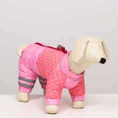 Комбинезон для собак Горошек, размер 14, розовый No Brand