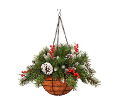 Хвойная ветка National Tree Company заснеженная в кашпо 31FRB14H/FRB-14H-1 36 см