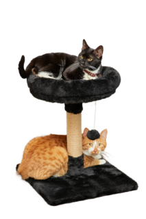 Когтеточка для кошек Pet БМФ Арзан с лежанкой, бортиком, с игрушкой, 40 х 40 х 47 см
