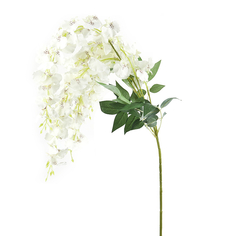 Цветок искусственный на ножке Онцидиум белая Gloria Garden 110 см 7180247