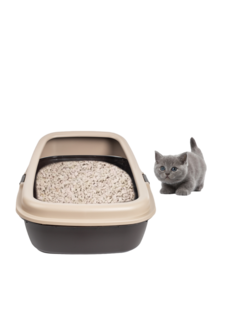 Лоток для домашних животных PET PLASTART, бежевый, с бортиками, 59 х 39 х 20.5 см