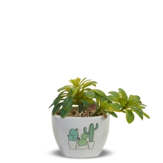 Цветочное кашпо Студия-Декор Кактус клуб 2,9 л цветной 1 шт.