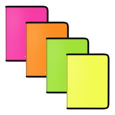 ErichKrause Папка для тетрадей А5+, ErichKrause Matt Neon, пластиковая, на молнии, микс