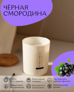 Свеча соевая с ароматом Черная смородина Aesthete Home