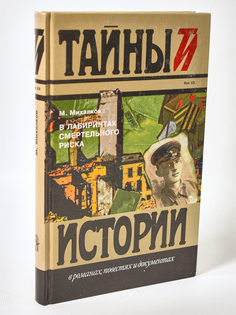 Книга В лабиринтах смертельного риска, Михалков М.В. Terra