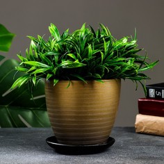 Цветочный горшок Амелия 1,4 л коричневый 1 шт. No Brand