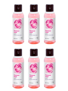 Комплект Vitateka Лосьон для лица Розовая вода для всех типов кожи 100 мл х 6 шт Витатека
