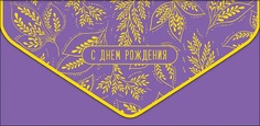 Конверт для денег С днем рождения Арт и Дизайн 0216.506