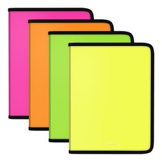Папка для тетрадей ErichKrause Matt Neon пластиковая на молнии А4 микс