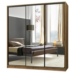 Шкаф-купе Bromo дуб велингтон 237.5х60х220 ООО Рейгрупп